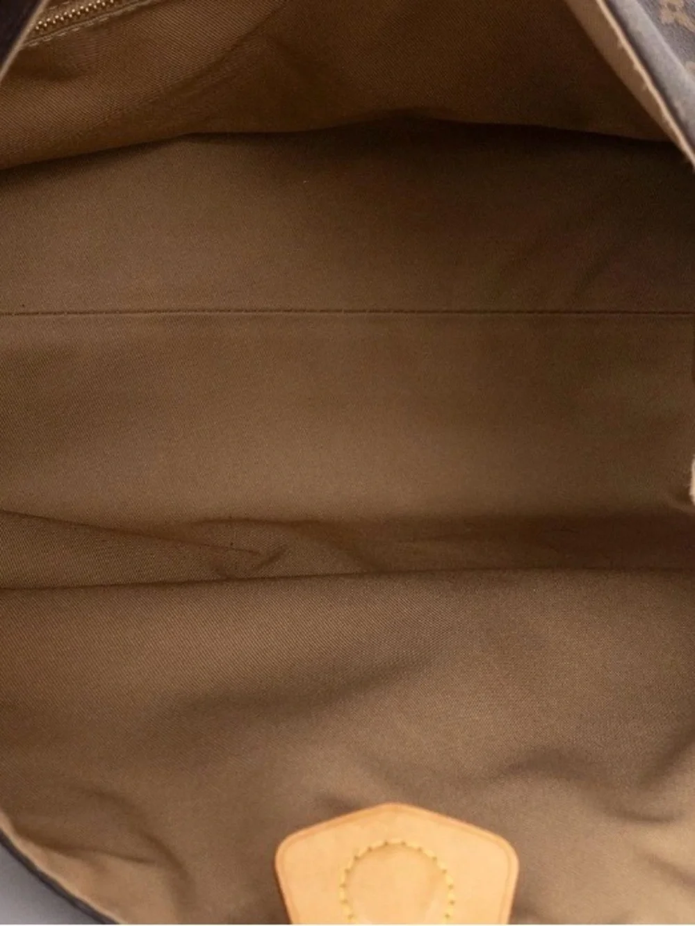Louis Vuitton Brown Monogram Canvas Hobo Bag